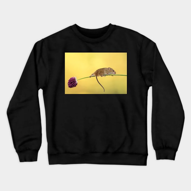 The trapese artist Crewneck Sweatshirt by mansaards